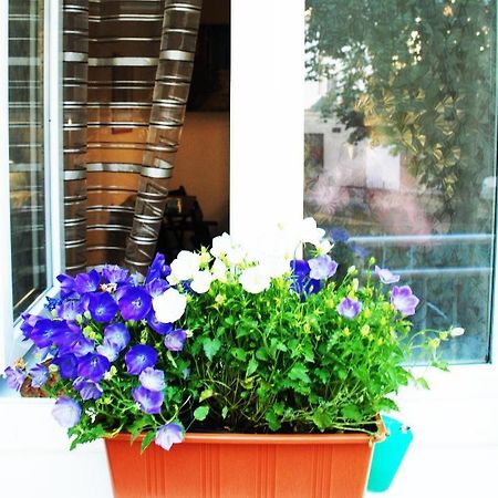 Apartment 5 Min By Walk To The Center Brno Exterior foto